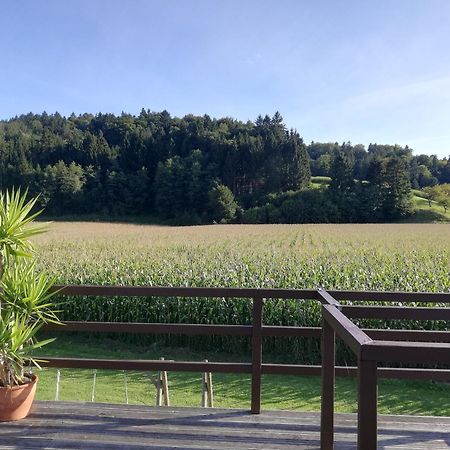 Ferienhaus Am Bach Kirchberg an der Raab Extérieur photo