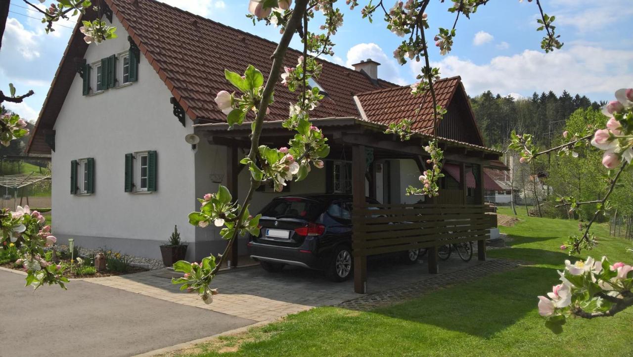 Ferienhaus Am Bach Kirchberg an der Raab Extérieur photo